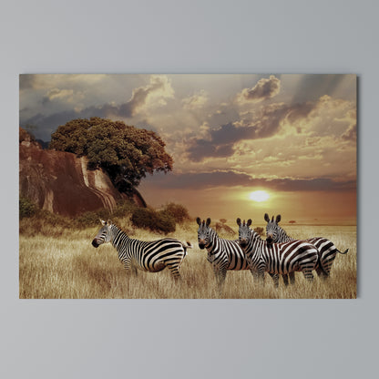 ZEBRA SUNSET SERENADE Horizontal Canvas Print
