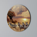 ZEBRA SUNSET SERENADE Quadro Redondo Decorativo