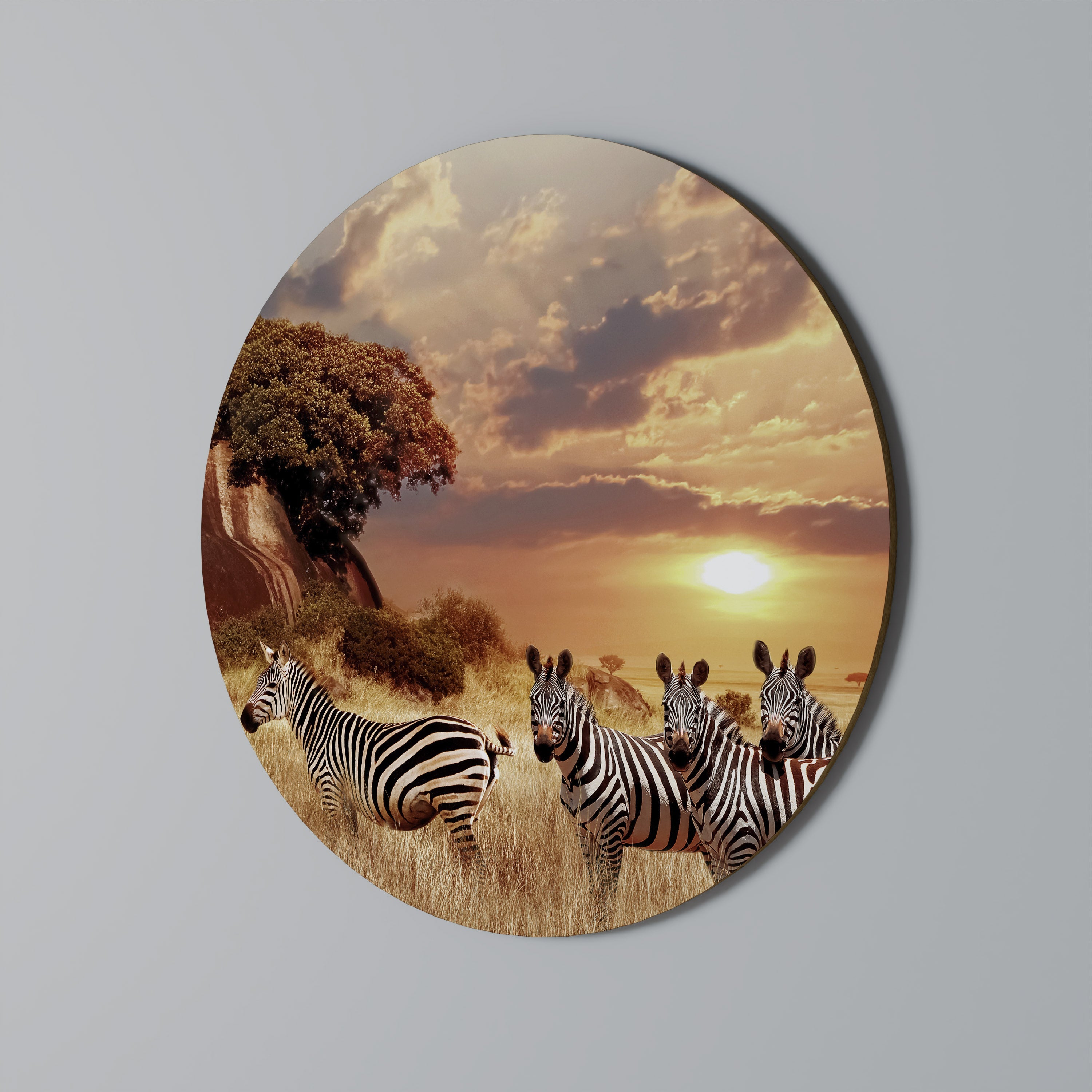 ZEBRA SUNSET SERENADE Quadro Redondo Decorativo