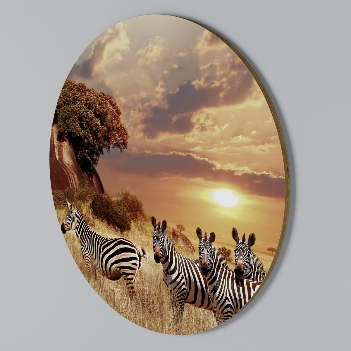 ZEBRA SUNSET SERENADE Arte de Parede Redonda