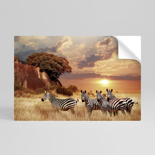 ZEBRA SUNSET SERENADE Póster Autocolante Horizontal