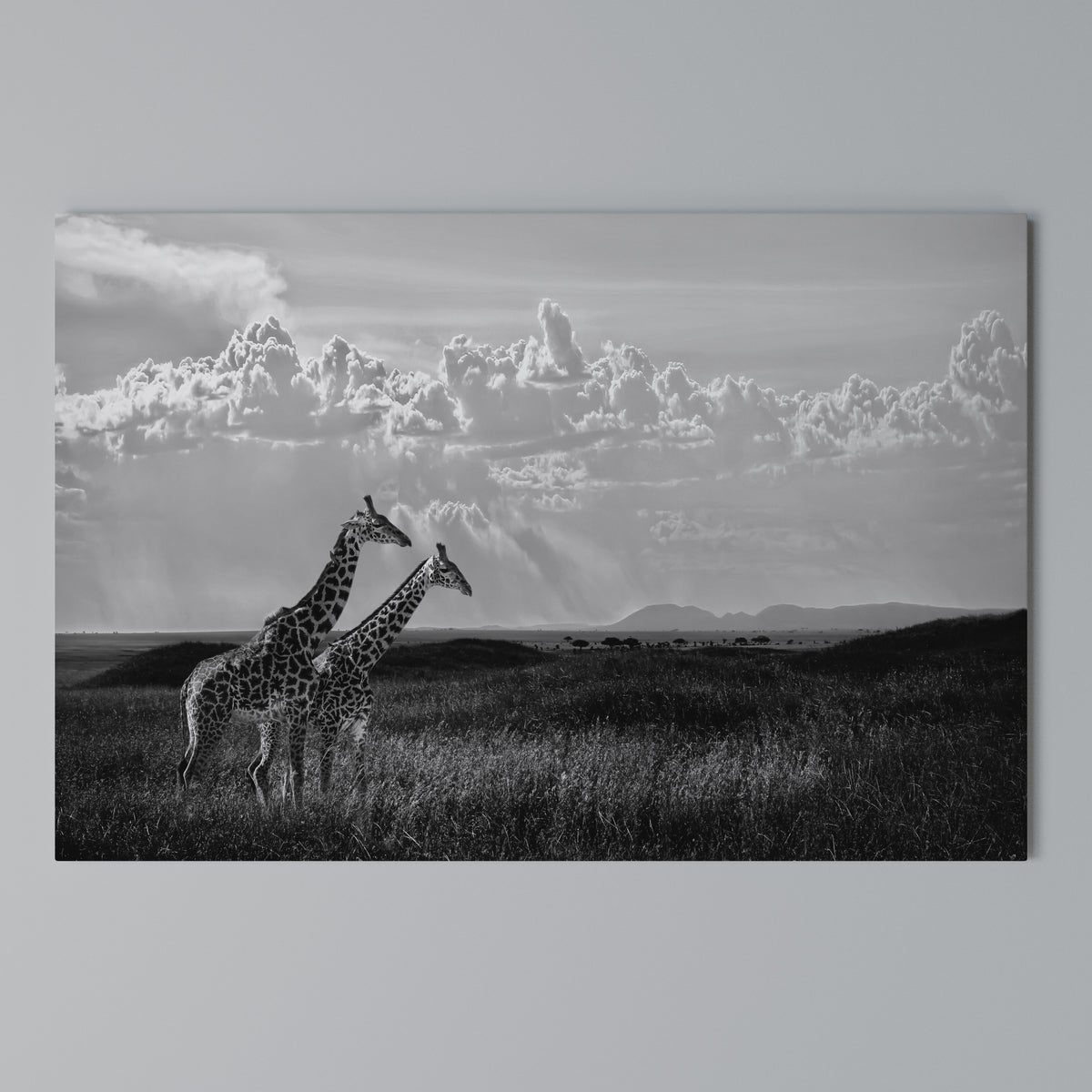 ELEGANT HEIGHTS UNVEILED Horizontal Canvas Print