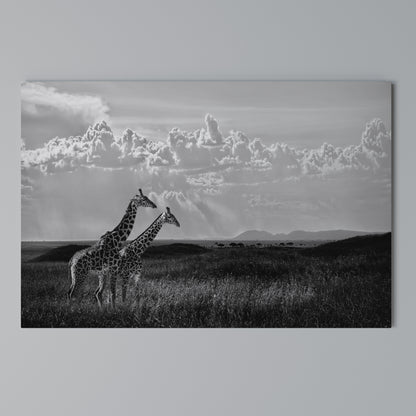 ELEGANT HEIGHTS UNVEILED Horizontal Canvas Print
