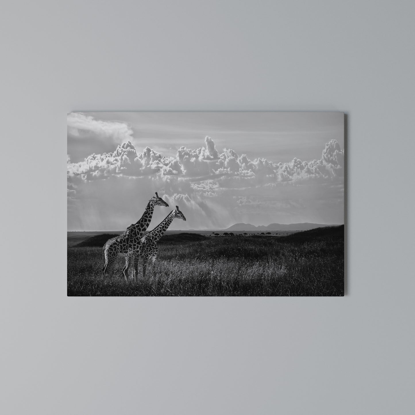 ELEGANT HEIGHTS UNVEILED Horizontal Canvas Print
