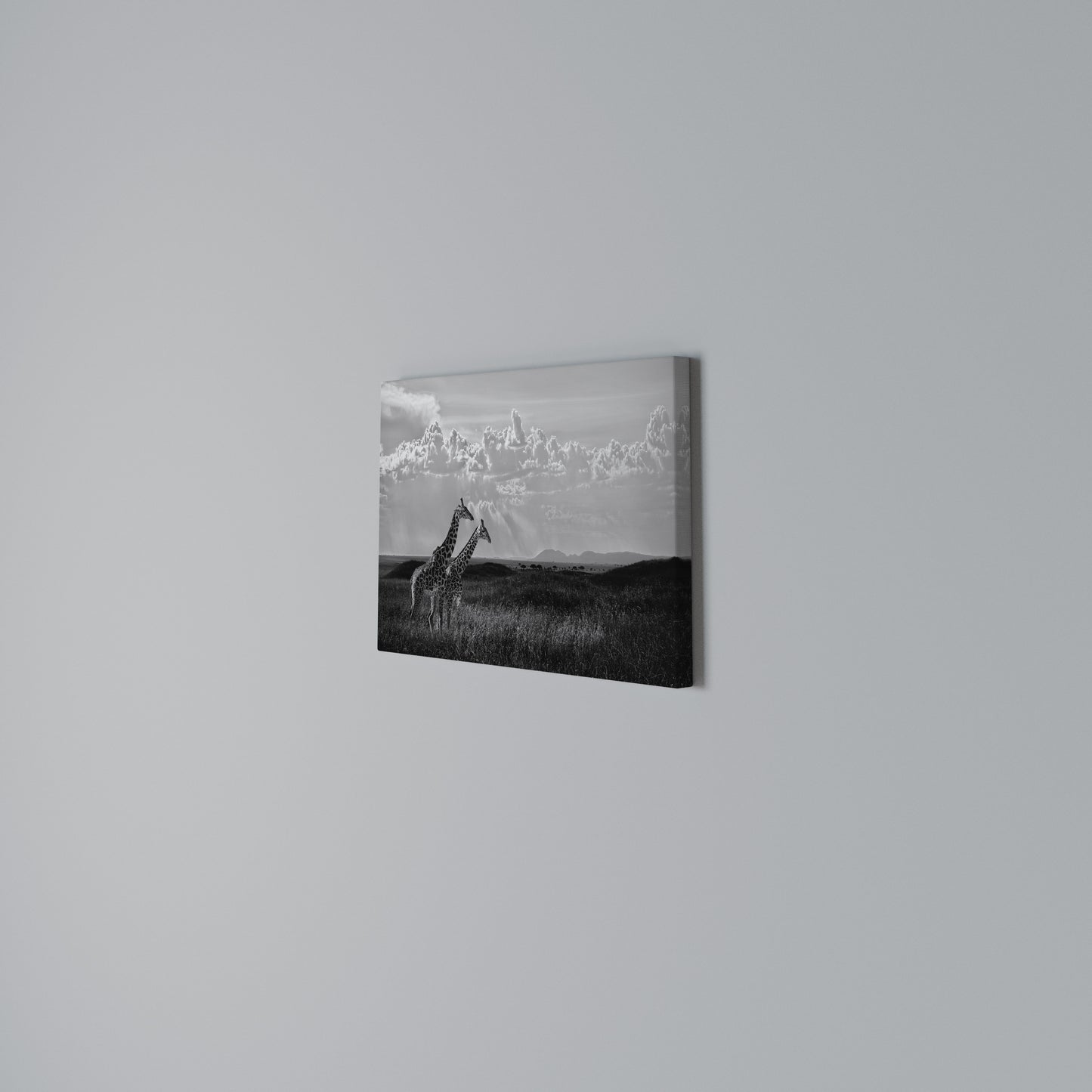 ELEGANT HEIGHTS UNVEILED Horizontal Canvas Print