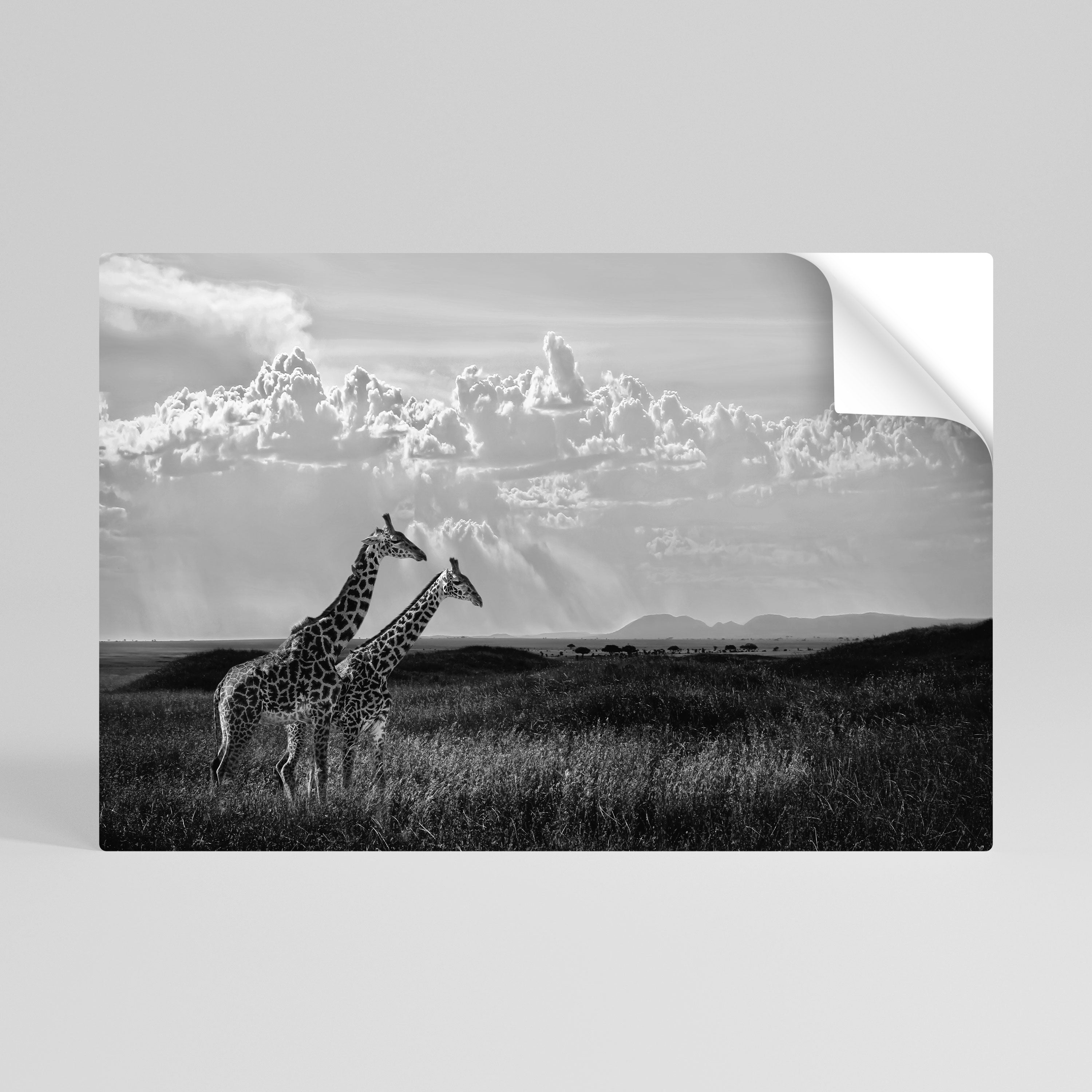 ELEGANT HEIGHTS UNVEILED Póster Autocolante Horizontal