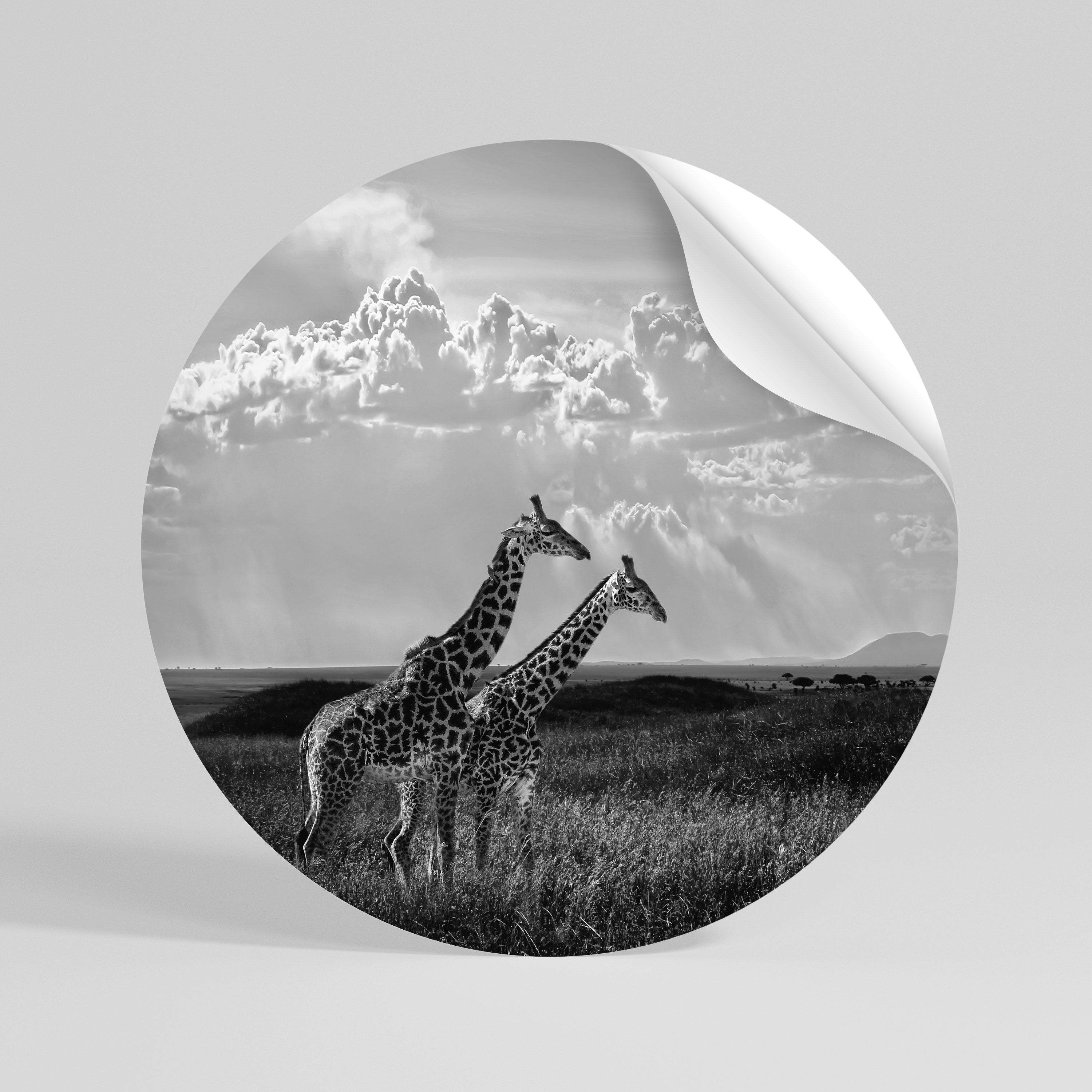 ELEGANT HEIGHTS UNVEILED Autocolante Redondo Removível