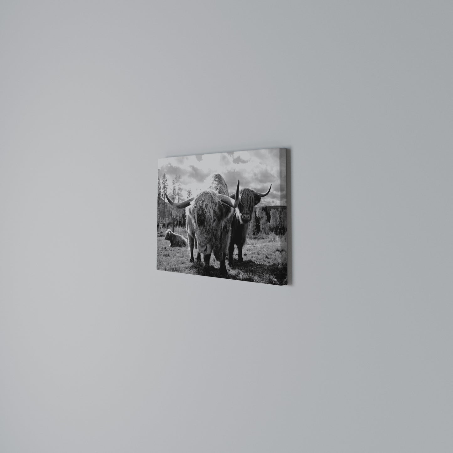 STILLNESS OF OLD SOULS Horizontal Canvas Print