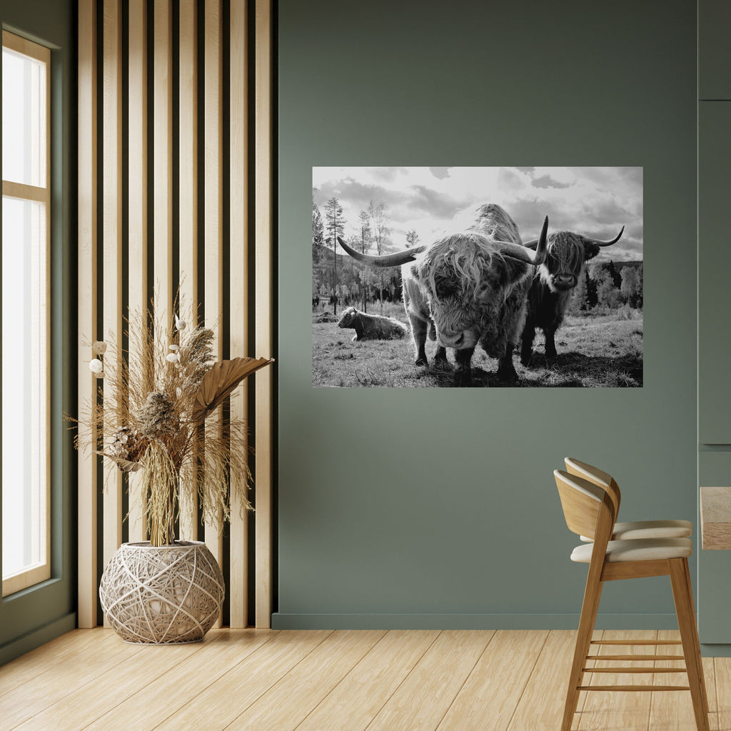 STILLNESS OF OLD SOULS Poster Horizontal Autocolante