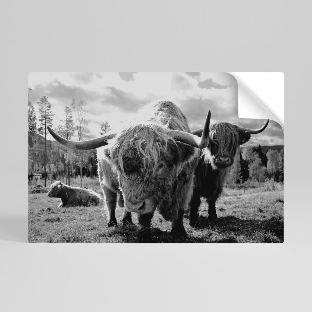 STILLNESS OF OLD SOULS Poster Horizontal Autocolante