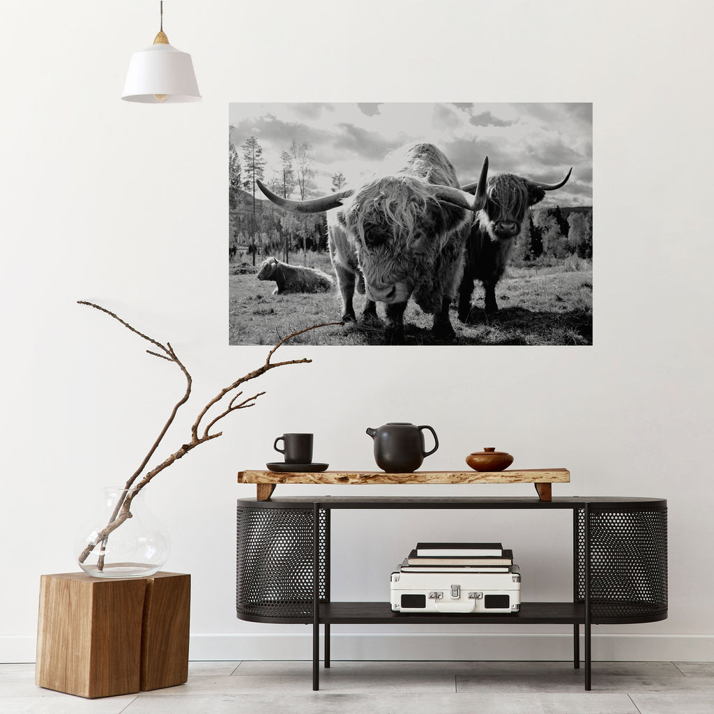 STILLNESS OF OLD SOULS Poster Horizontal Autocolante