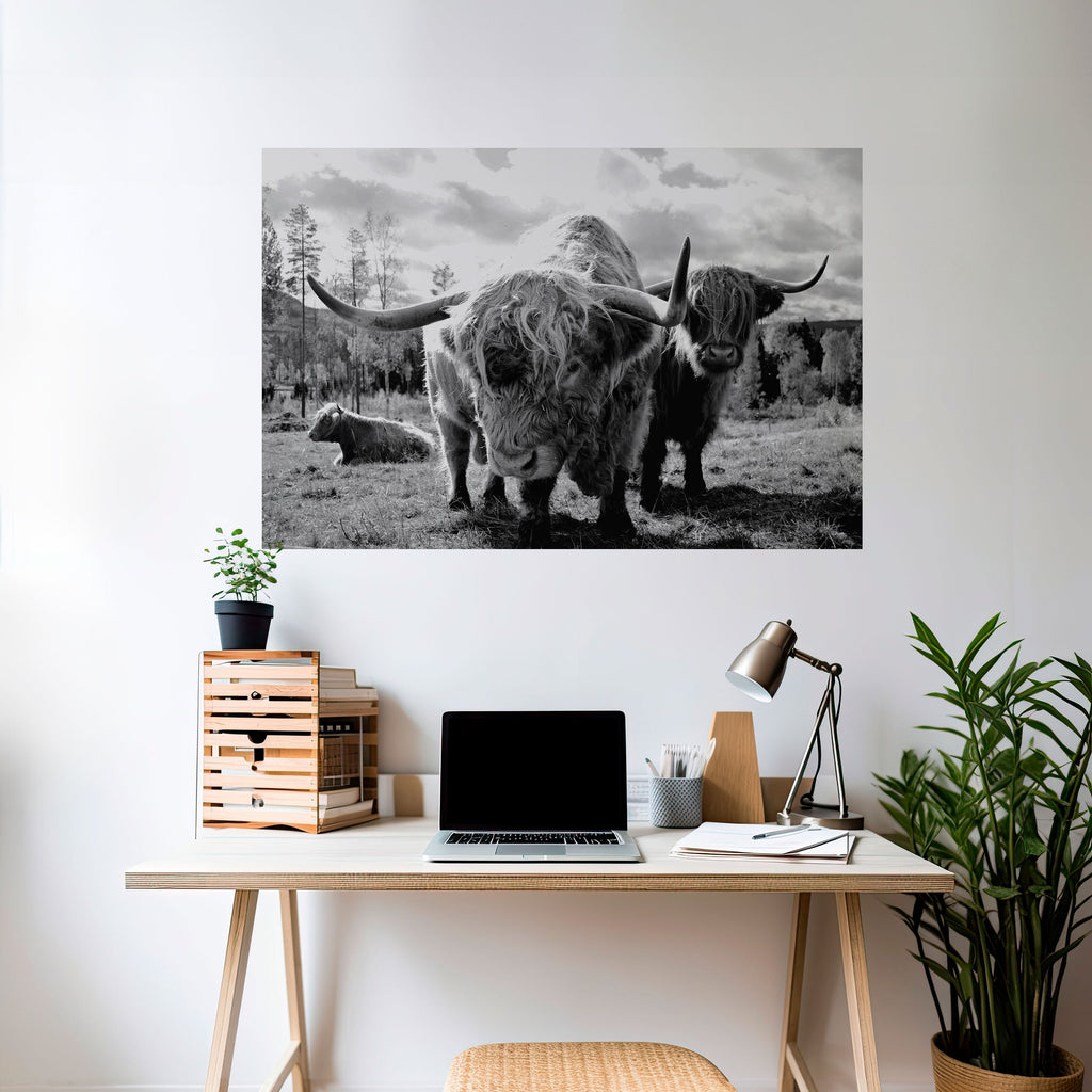 STILLNESS OF OLD SOULS Poster Horizontal Autocolante