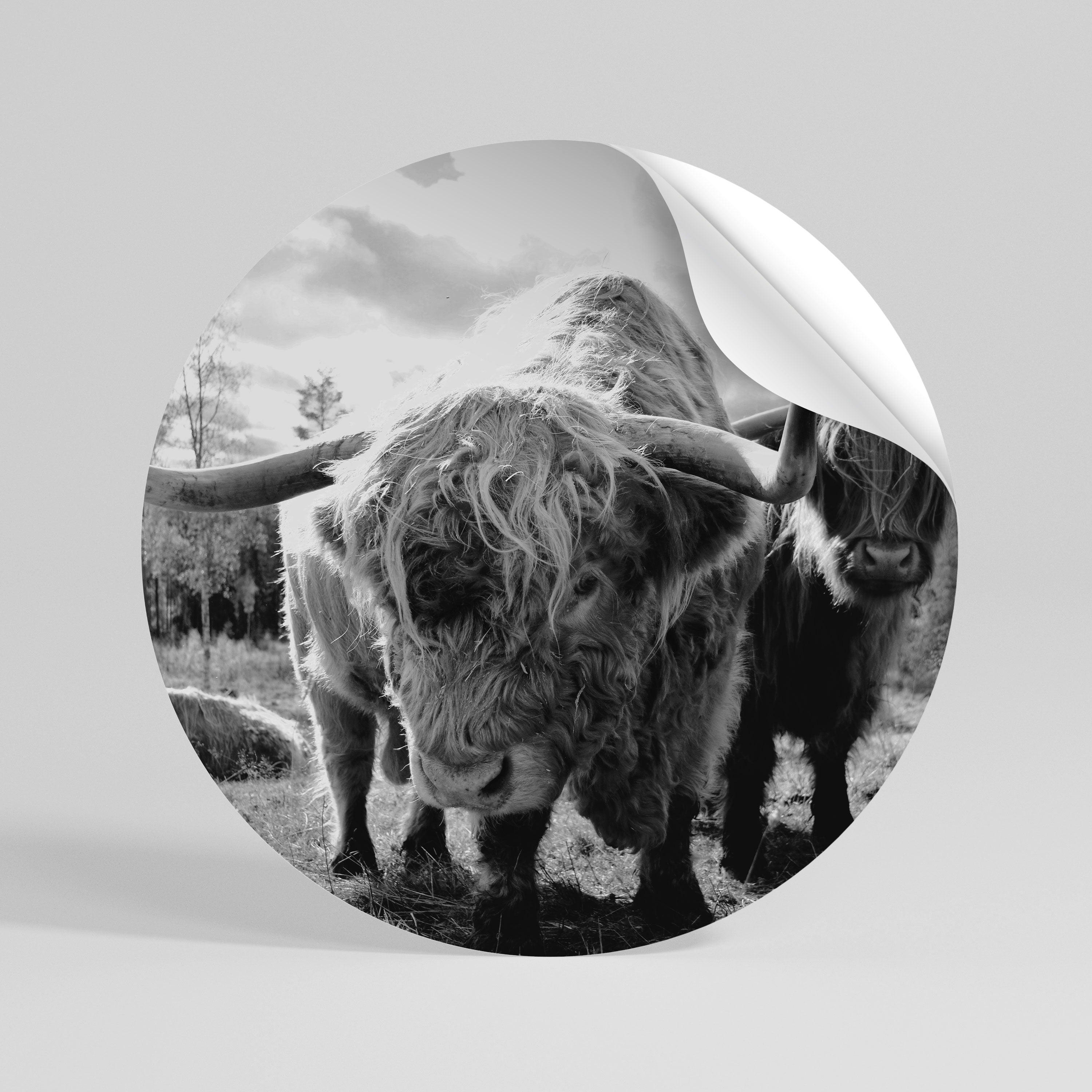 STILLNESS OF OLD SOULS Autocolante Redondo Removível