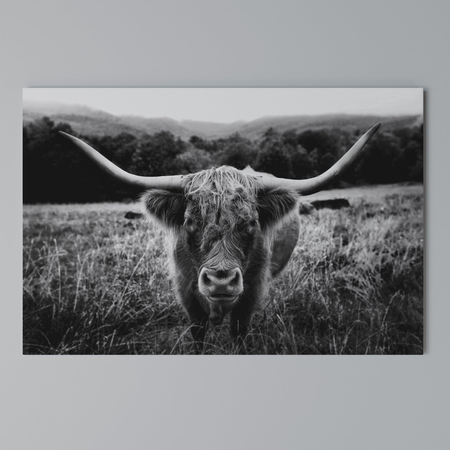 HORNED HERO IN FOCUS Horizontal Canvas Print