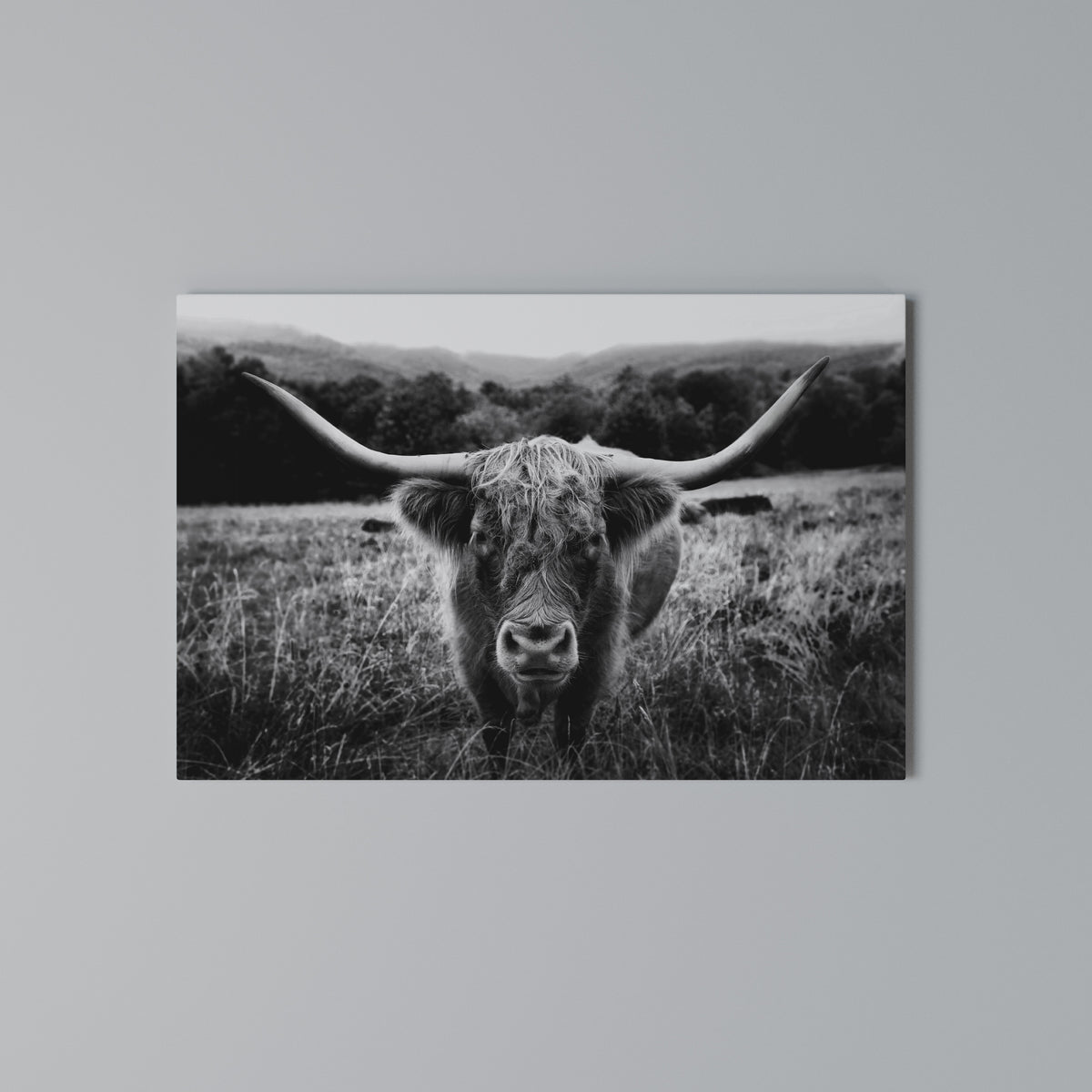 HORNED HERO IN FOCUS Horizontal Canvas Print