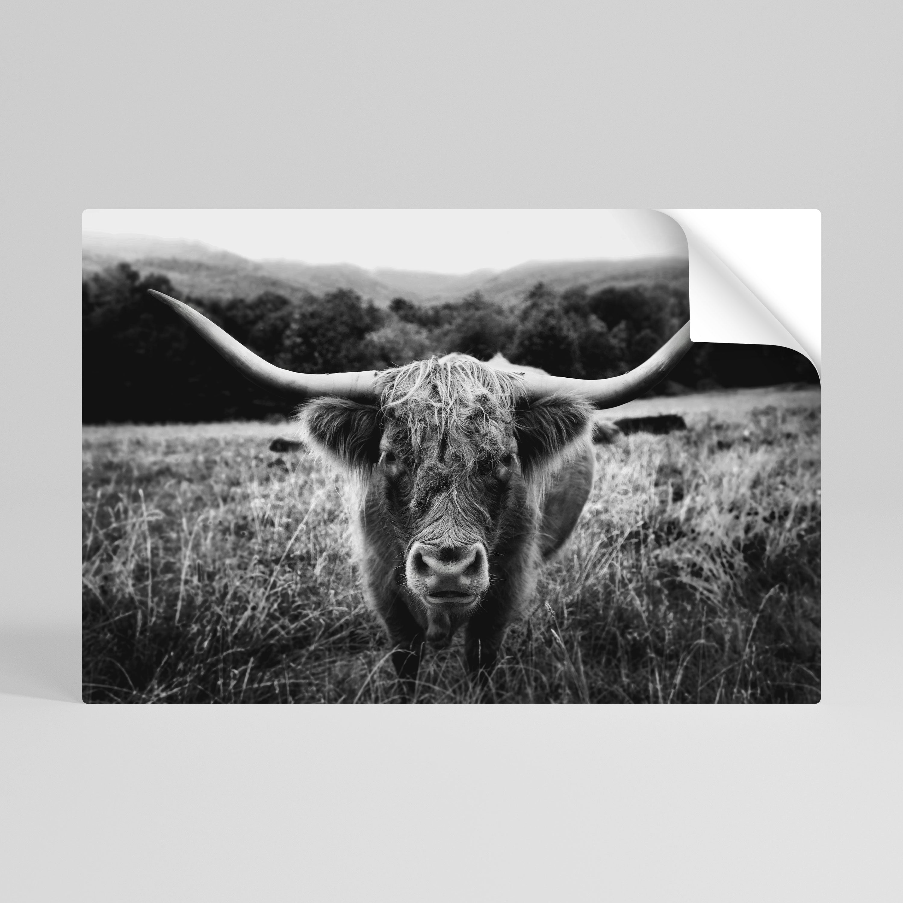 HORNED HERO IN FOCUS Póster Autocolante Horizontal