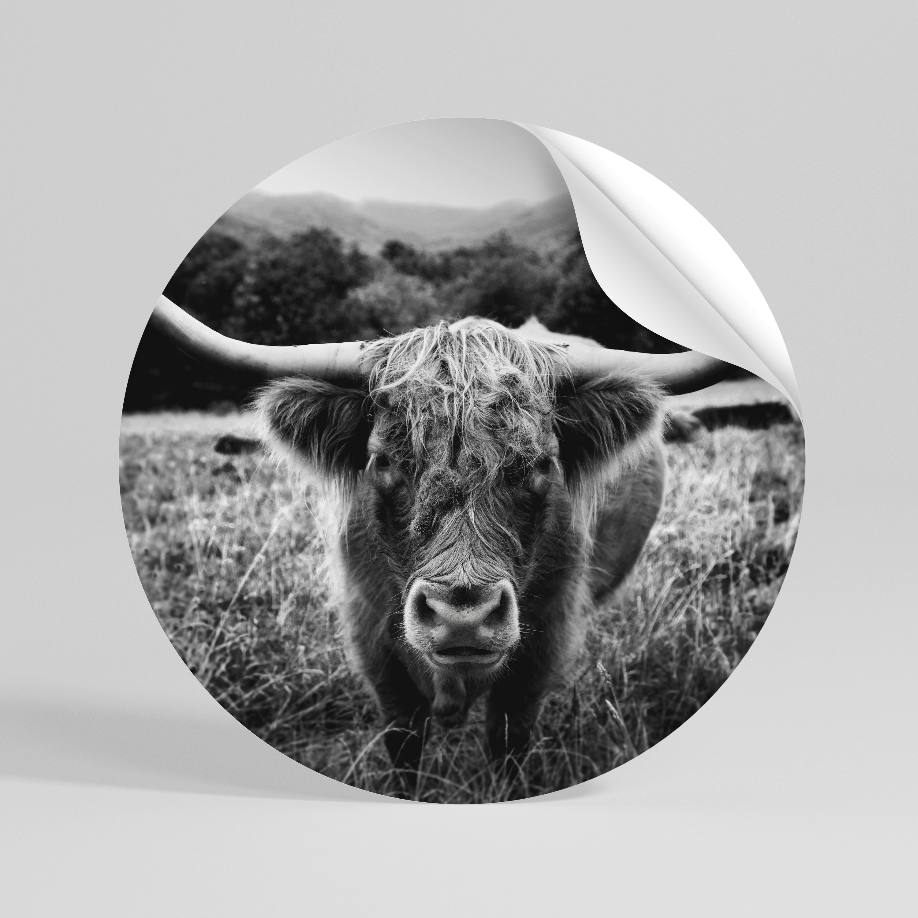 HORNED HERO IN FOCUS Autocolante Redondo Removível