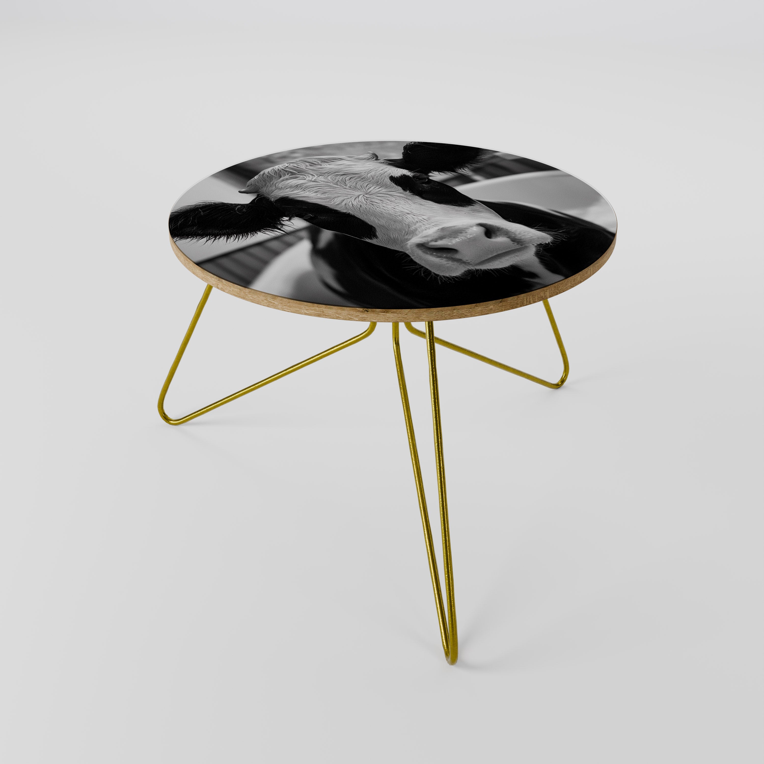 MONOCHROME MOOOD Mesa de Centro 60