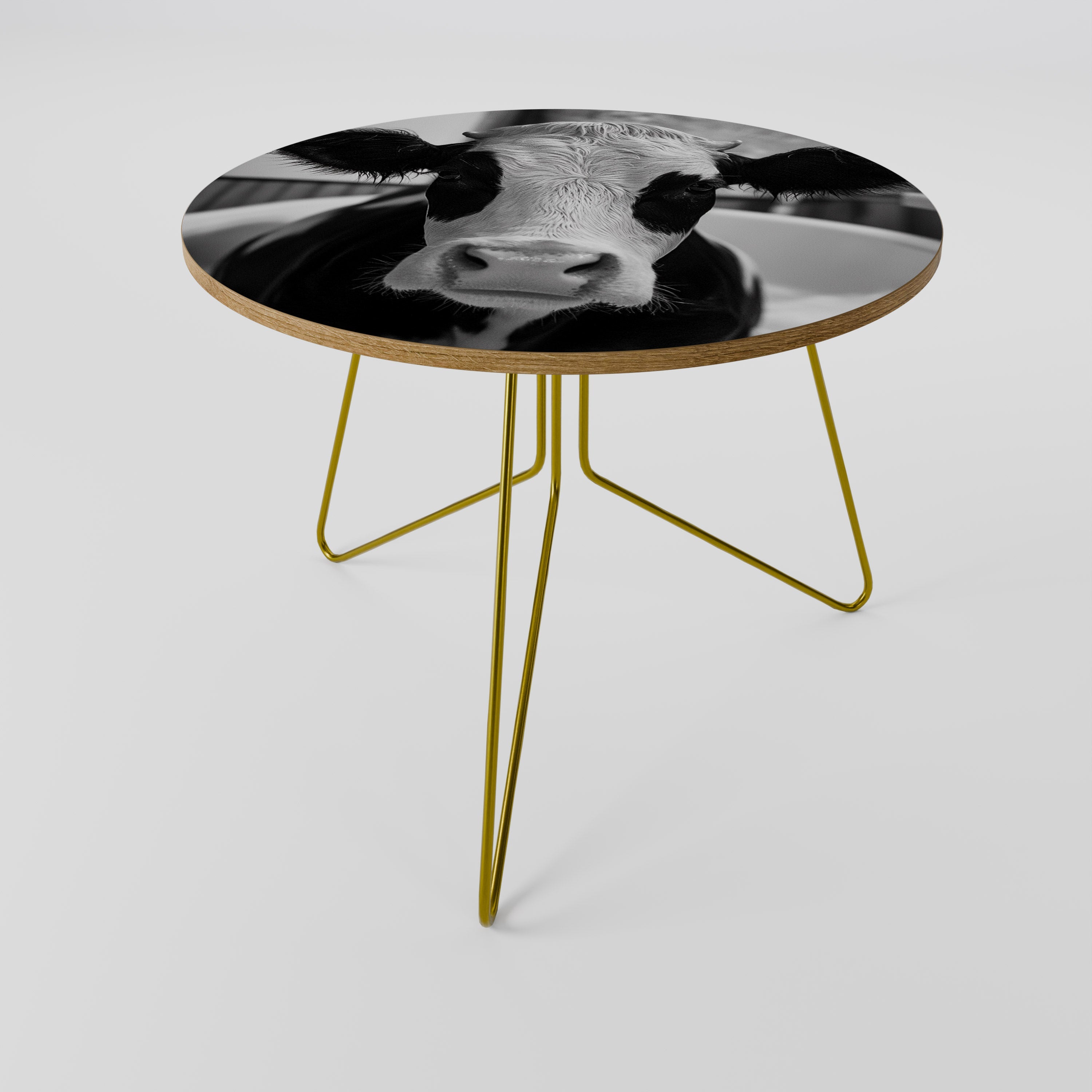 MONOCHROME MOOOD Mesa de Centro 69