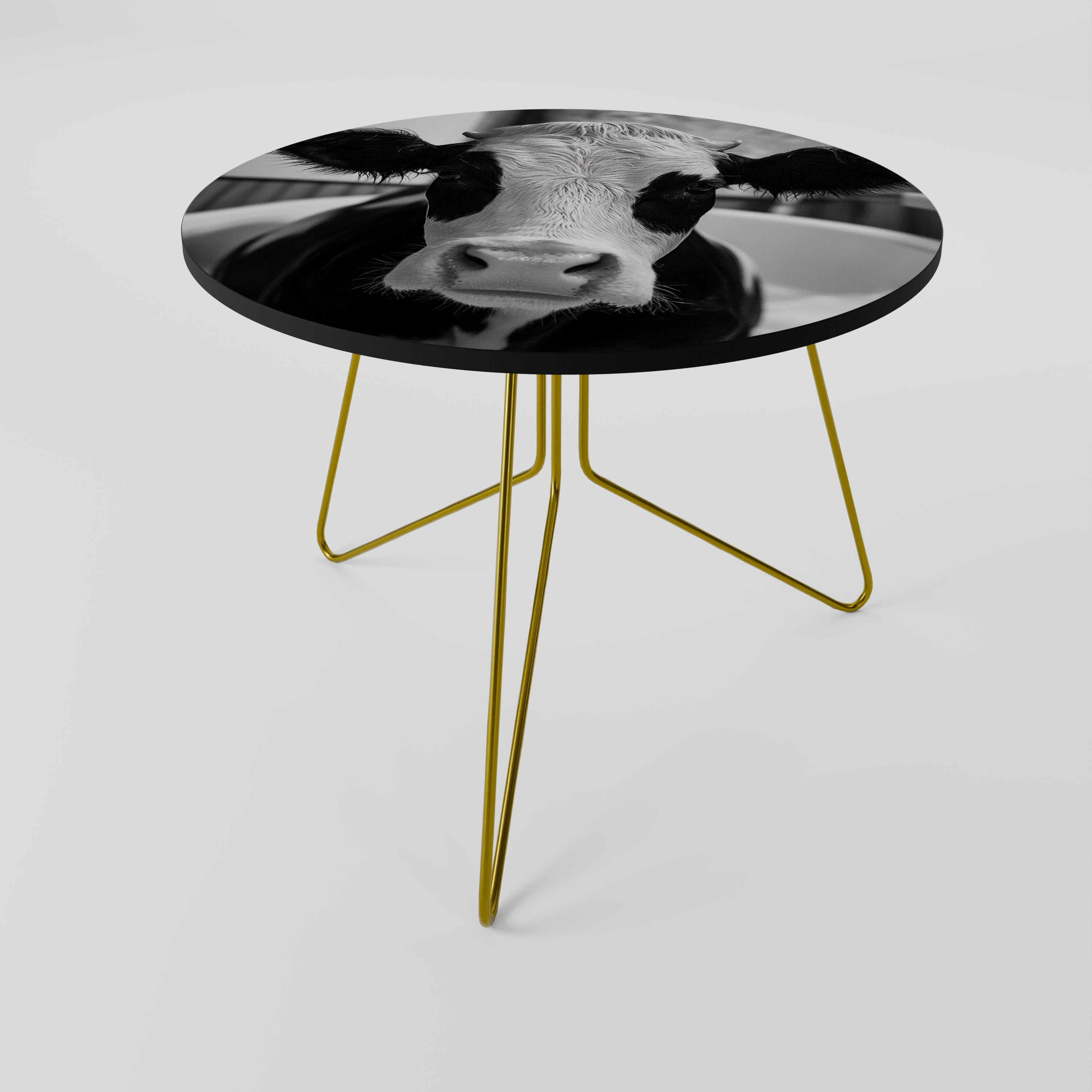 MONOCHROME MOOOD Mesa de Centro 69