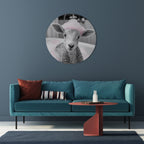 PINK CLOUD BATH TIME Quadro Redondo Decorativo