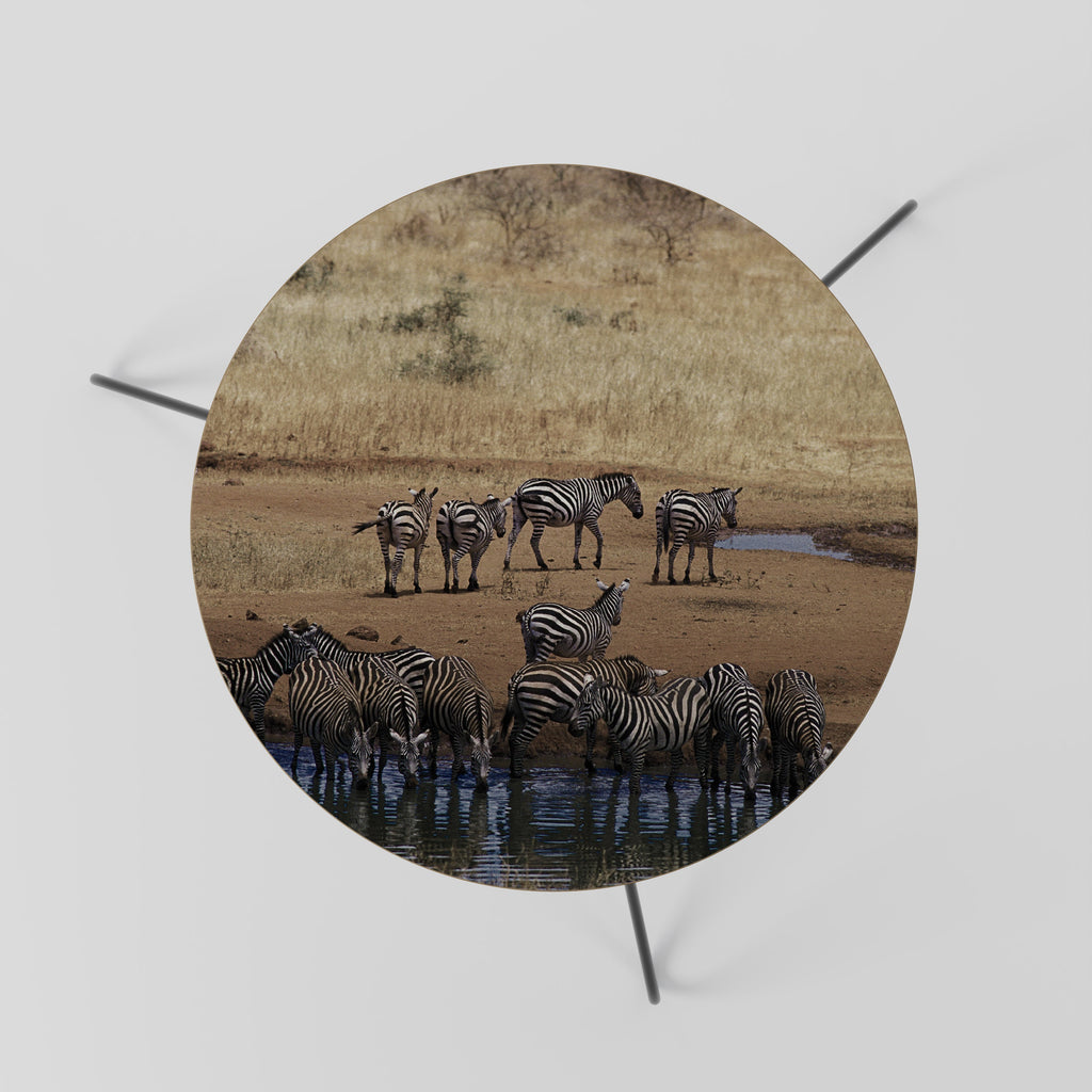 THE ZEBRA HARMONY Mesa de Centro 60