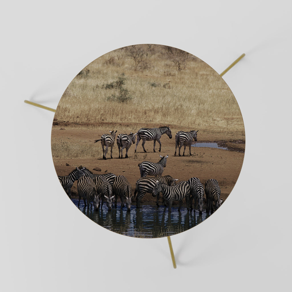 THE ZEBRA HARMONY Mesa de Centro 60