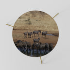 THE ZEBRA HARMONY Mesa de Centro 60