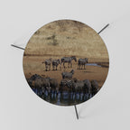 THE ZEBRA HARMONY Mesa de Centro 60