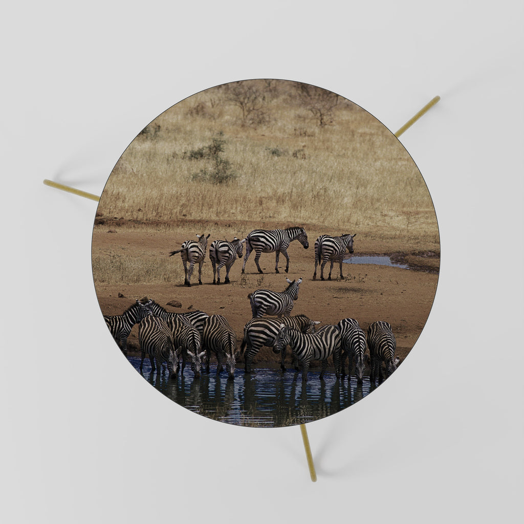 THE ZEBRA HARMONY Mesa de Centro 60