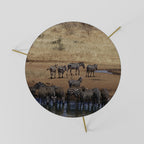 THE ZEBRA HARMONY Mesa de Centro 60