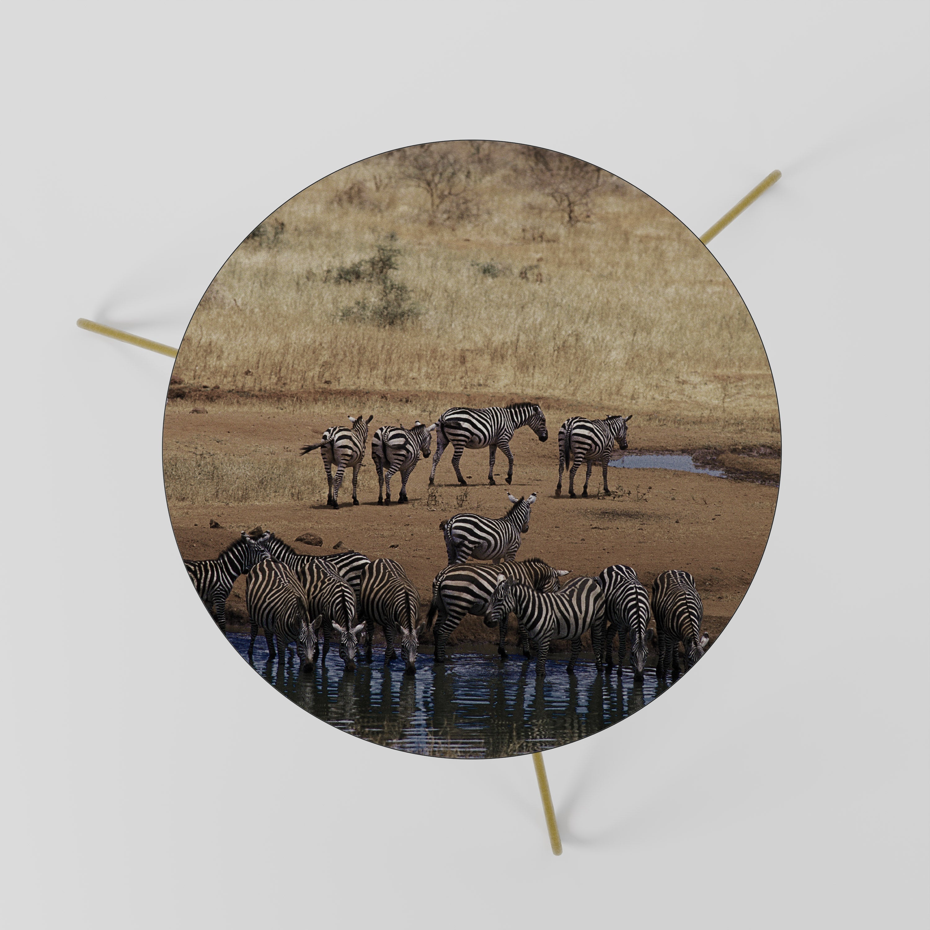 THE ZEBRA HARMONY Mesa de Centro 60