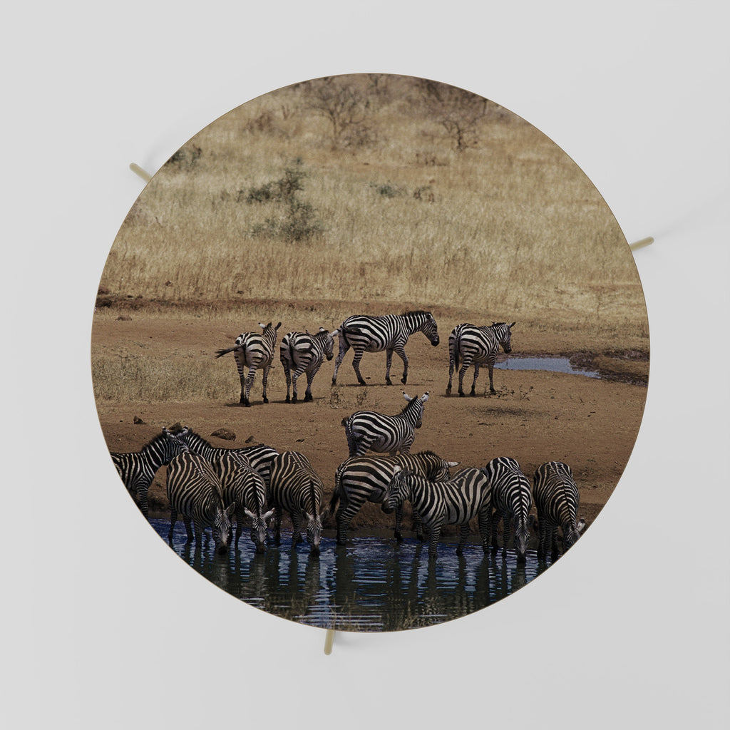 THE ZEBRA HARMONY Mesa de Centro 69