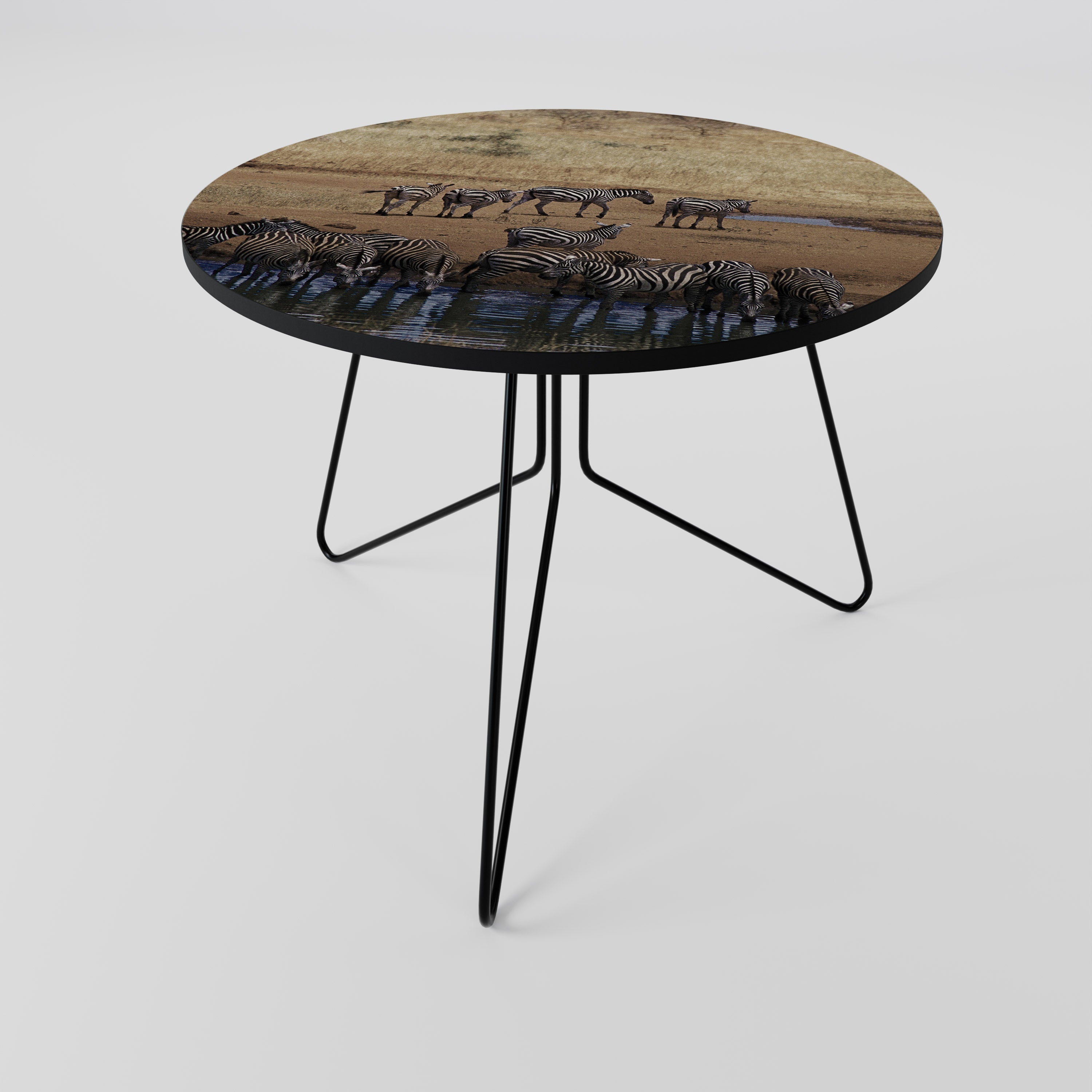 THE ZEBRA HARMONY Mesa de Centro 69