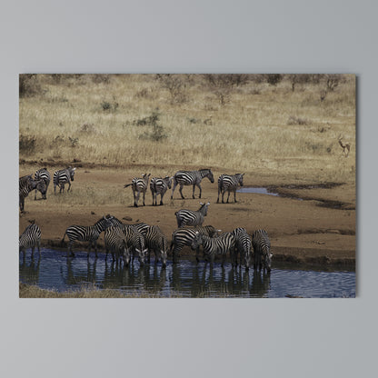 THE ZEBRA HARMONY Horizontal Canvas Print