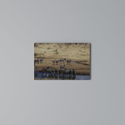 THE ZEBRA HARMONY Horizontal Canvas Print