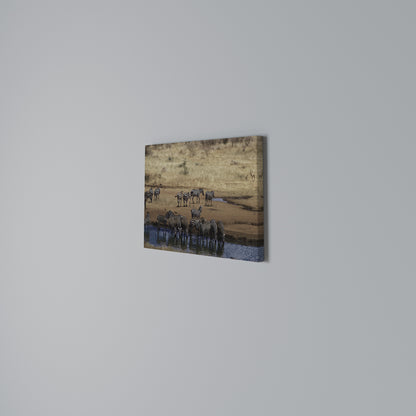 THE ZEBRA HARMONY Horizontal Canvas Print