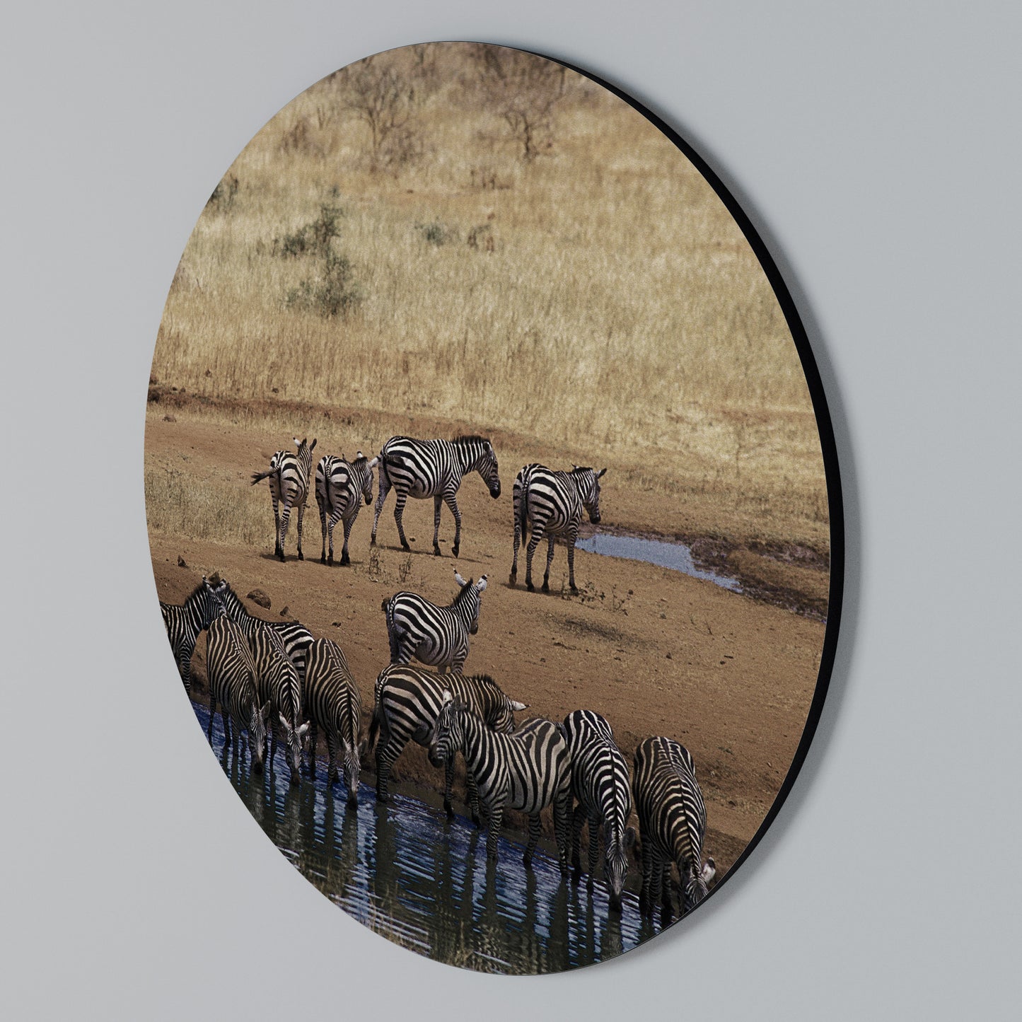 THE ZEBRA HARMONY Arte de Parede Redonda