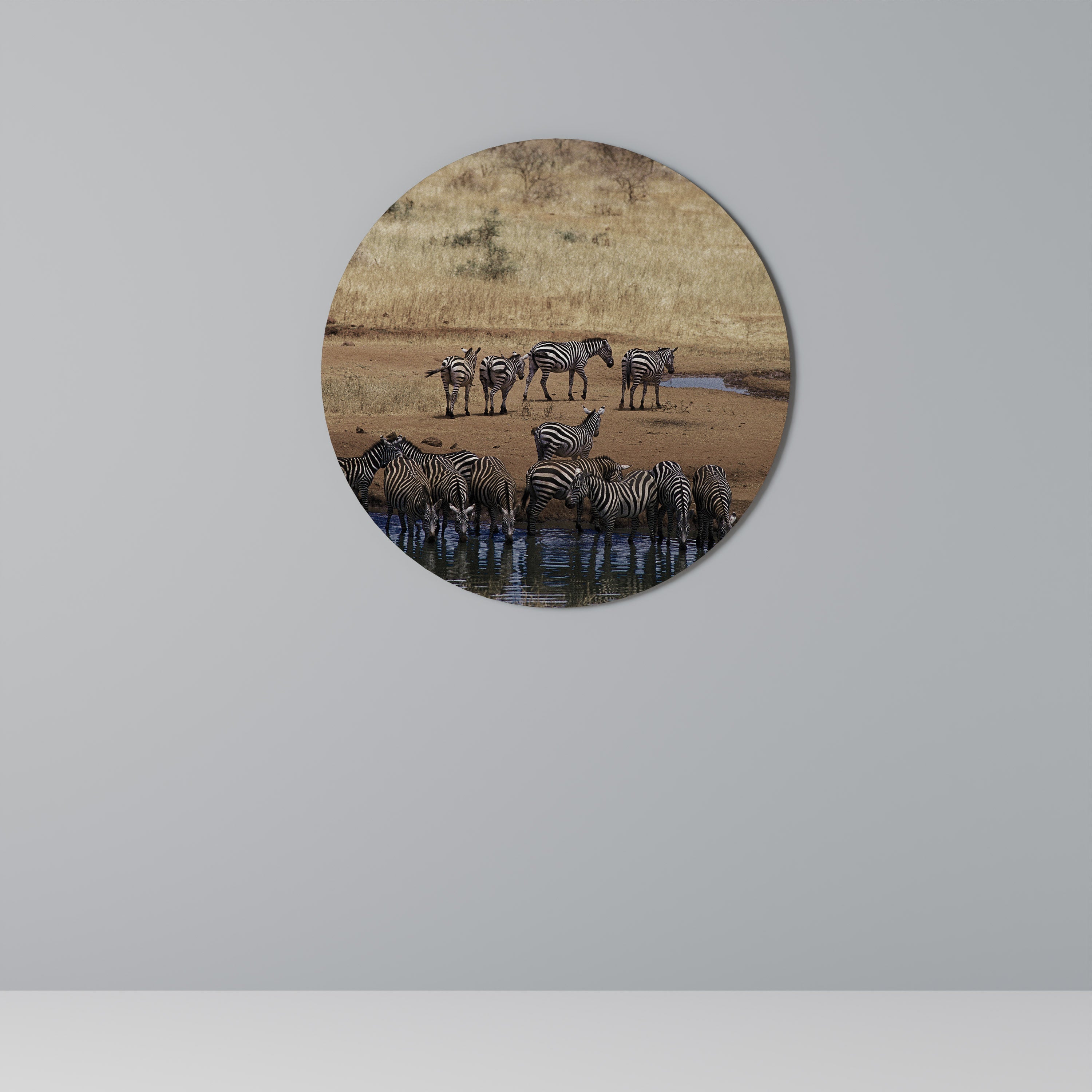 THE ZEBRA HARMONY Round Wall Art
