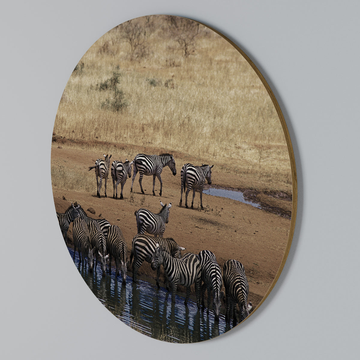 THE ZEBRA HARMONY Arte de Parede Redonda
