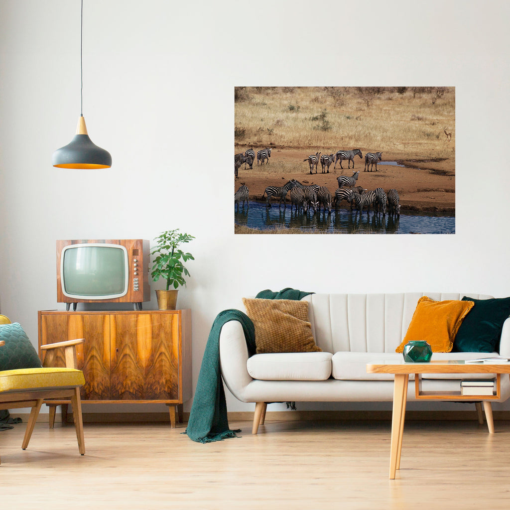 THE ZEBRA HARMONY Peel and Stick Horizontal Poster