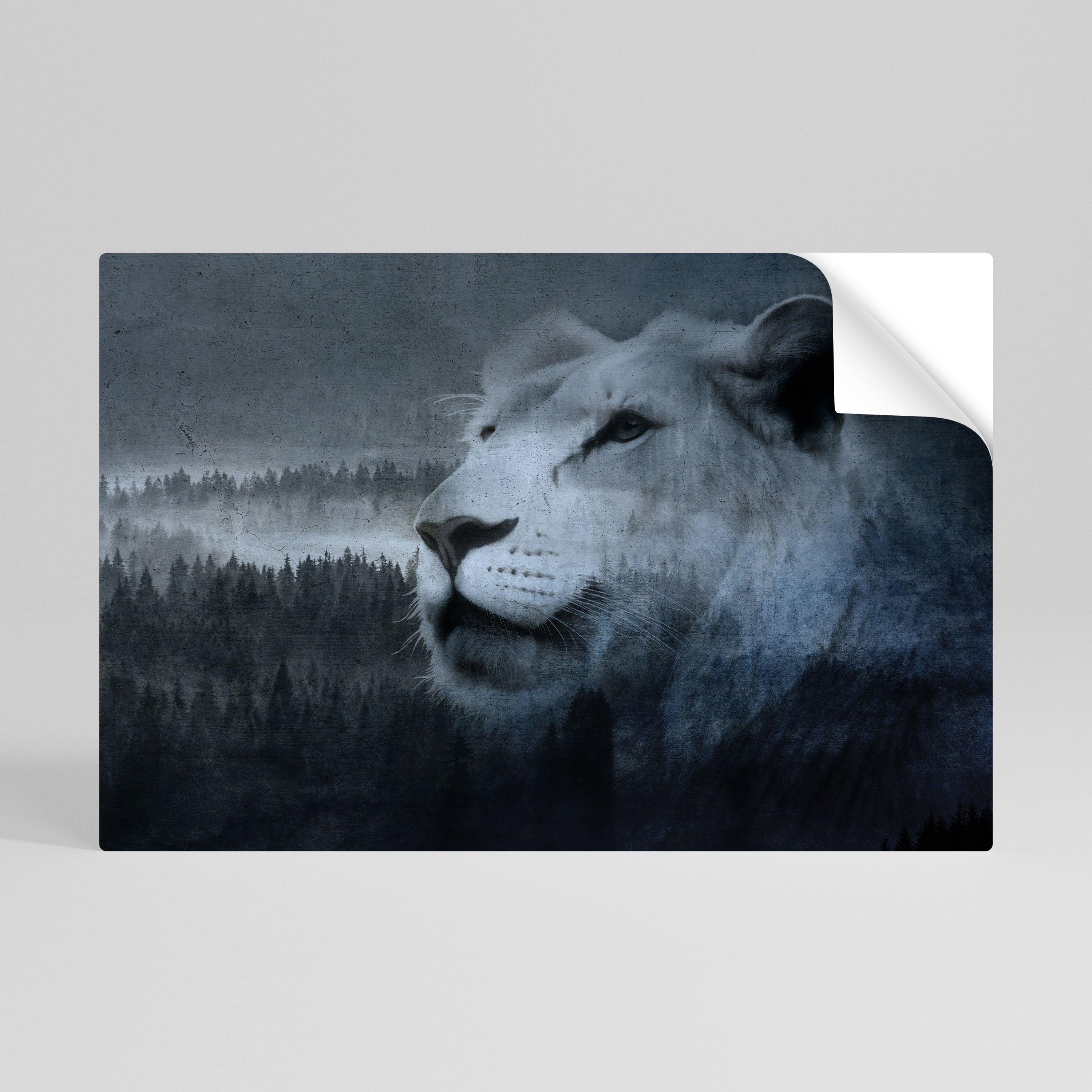 LION'S HARMONY IN BLUE Póster Autocolante Horizontal