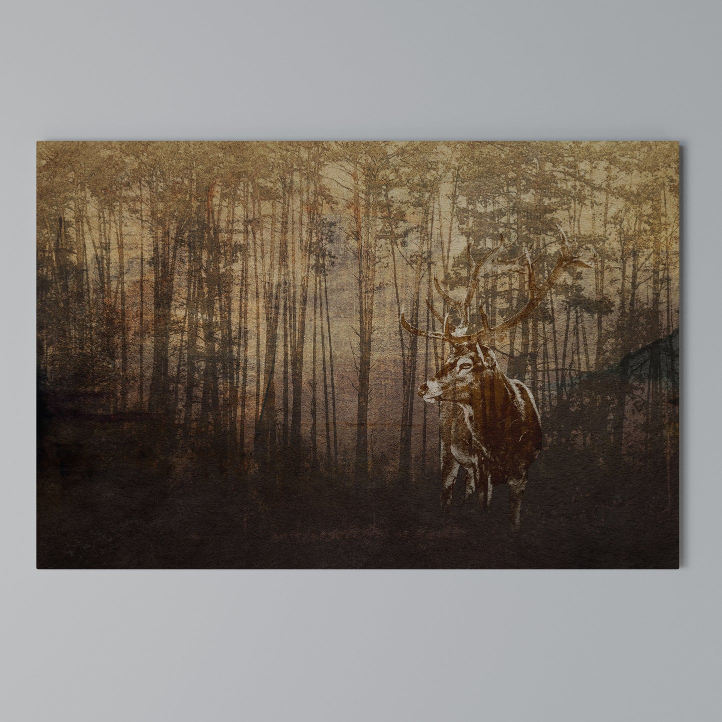 WHISPERING WOODS MYSTIQUE Horizontal Canvas Print
