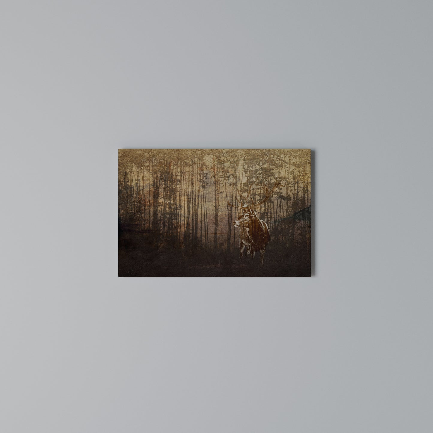WHISPERING WOODS MYSTIQUE Horizontal Canvas Print