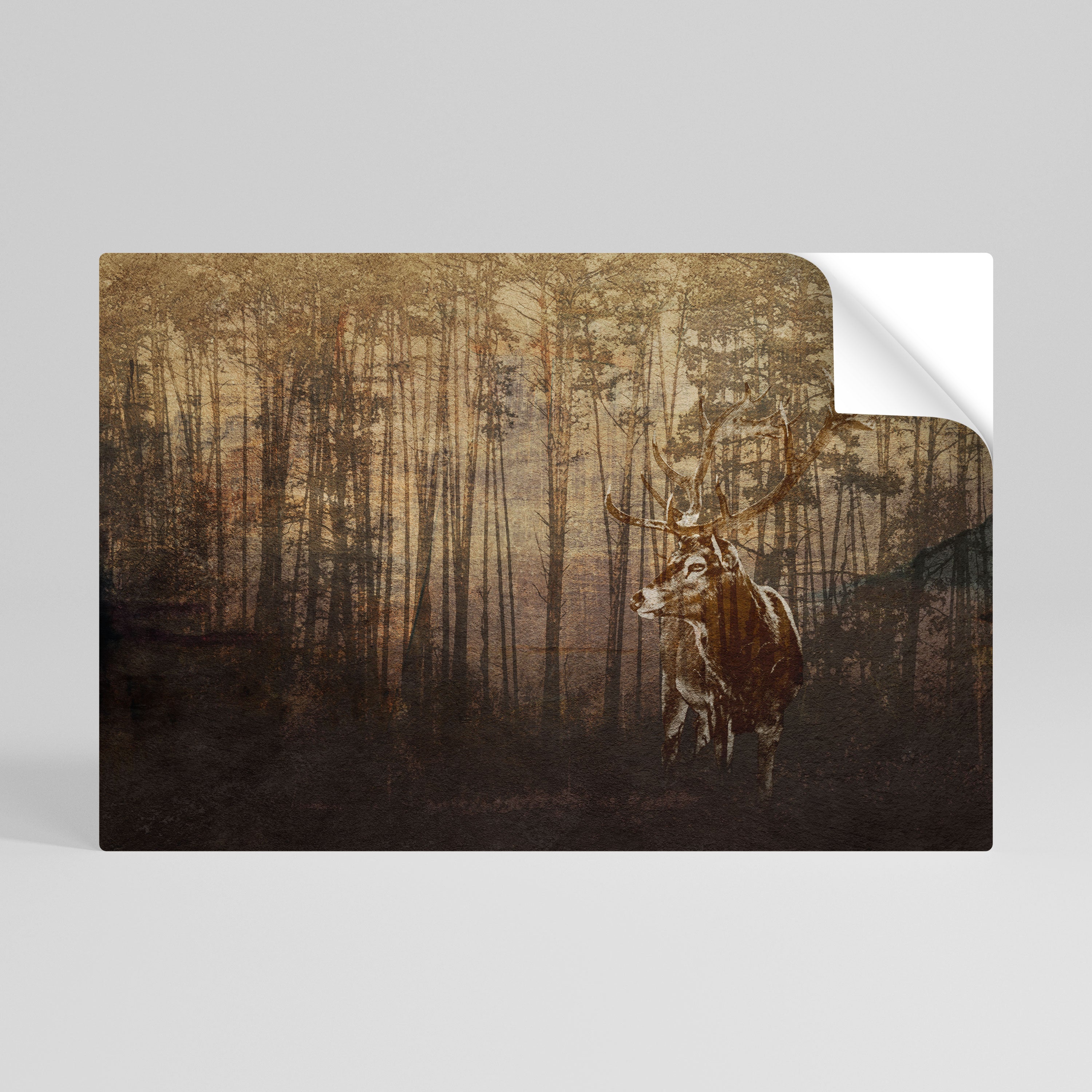 WHISPERING WOODS MYSTIQUE Póster Autocolante Horizontal