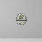 VERDANT ARINI Oval Art Shelf In Black Finish