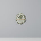 VERDANT ARINI Prateleira Oval Decorativa em Efeito Carvalho