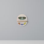 MOTH INTO THE LIGHT Prateleira Oval Decorativa em Efeito Carvalho