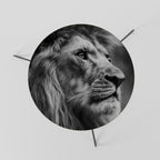 ROYAL REFLECTION Mesa de Centro 60