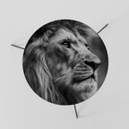 ROYAL REFLECTION Mesa de Centro 60